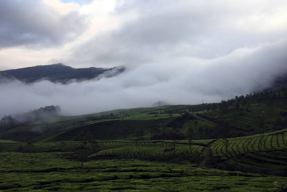 anamudi peak